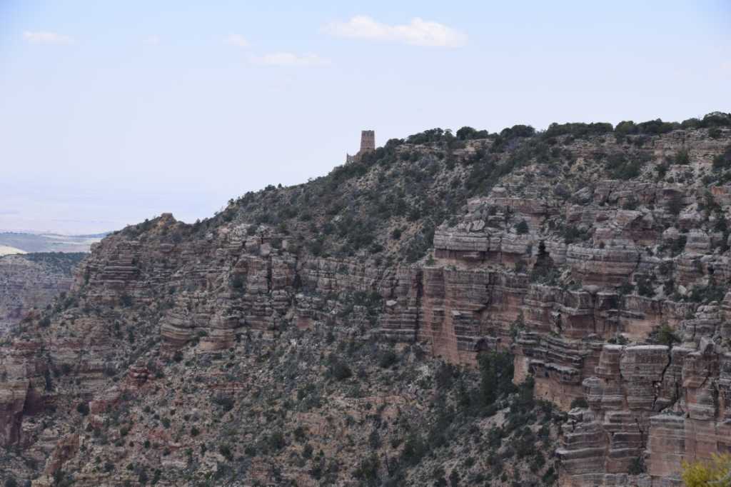 DSC_0172Mittel_.JPG